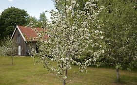 Gransäng Loft House